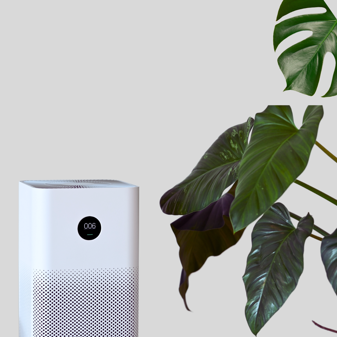 Jak oczyszczacz z nawilżaczem dba o moją skórę